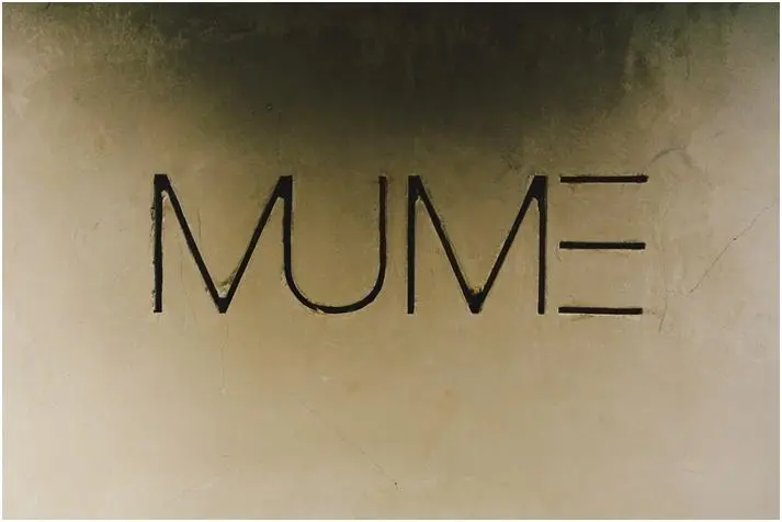 四維巷弄美食---MUME,低調的米其林星星風土小酒館