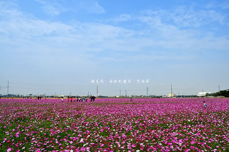 南新社區出現小叮噹時光機，還有卡通人物版立體浮雕彩繪牆、大片的波斯菊花海，親子同遊的好去處