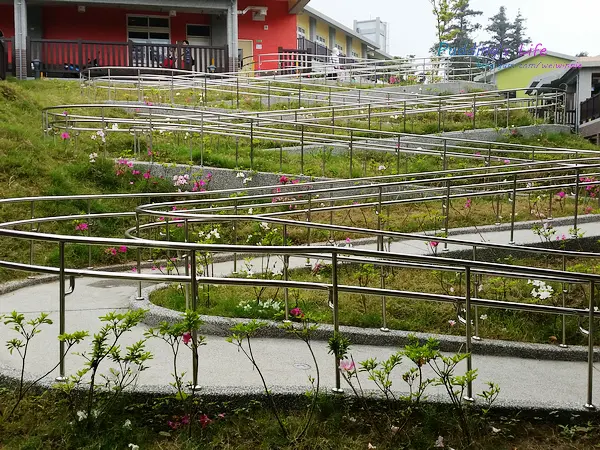 【遊記-雲林】古坑自然生態/繽紛校舍《樟湖生態國民中小學》最美的森林學校