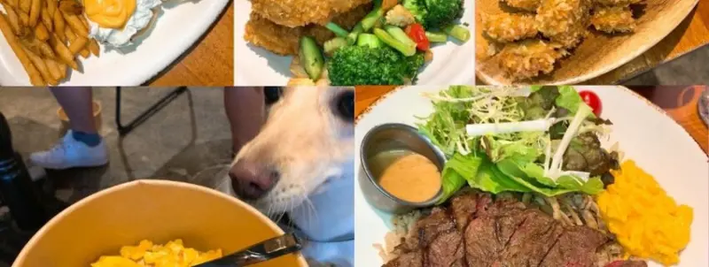 貳樓 南港車站店│台北美食•寵物友善•毛孩也有免費炒蛋 - 丹尼的吃喝玩樂