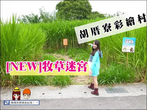 【台南善化】善化輕旅行：胡厝寮彩繪村→牧草迷宮→善化糖廠