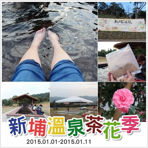 新埔｜新埔溫泉茶花季．品茗賞茶花泡腳去~