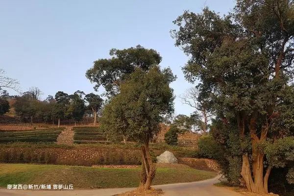 【新竹/新埔】2019新埔花鳥溫泉季-->雲夢山丘