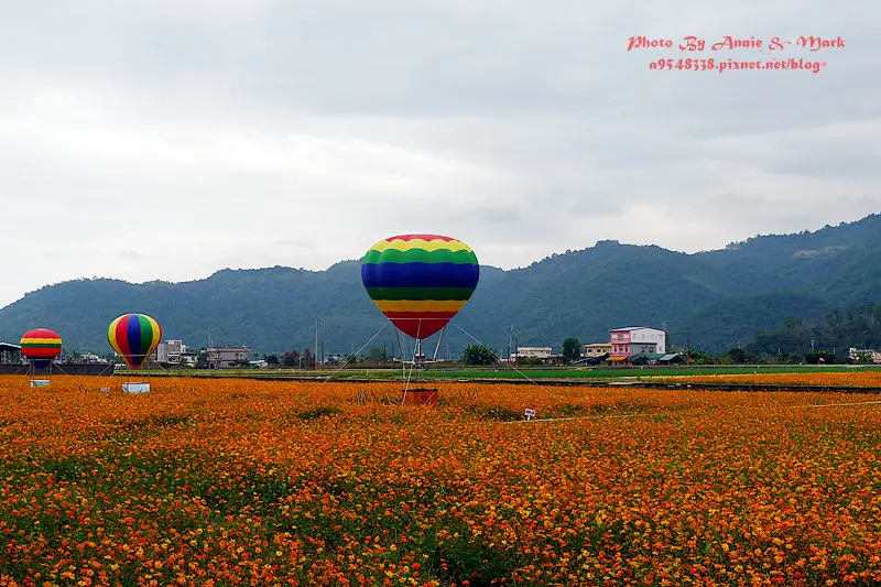 ◎【宜蘭 2015三星花海熱氣球嘉年華】黃色大地毯+彩虹熱氣球~怎能不著迷？！