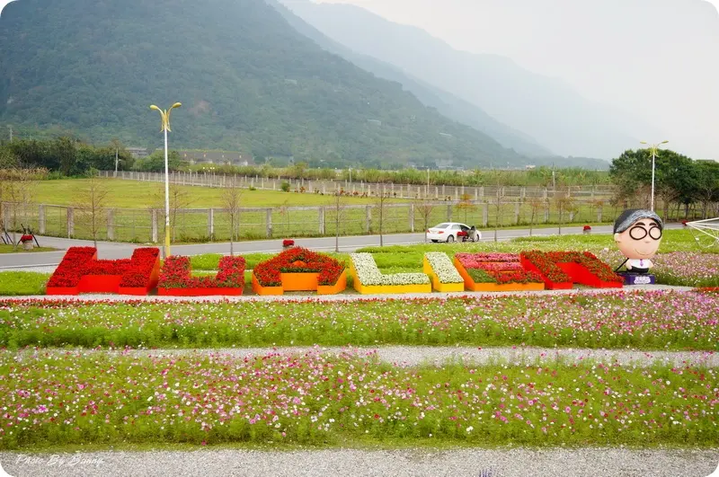 【花蓮】花東花海季 花舞幸福 國福花海