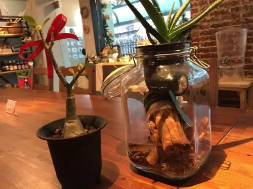 台北東門 FT cafe x shop - 近東門捷運站的咖啡店，不限時很悠哉