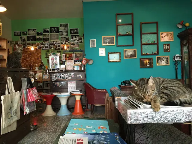 新北淡水。目目 MùMù 咖啡展覽藝文空間