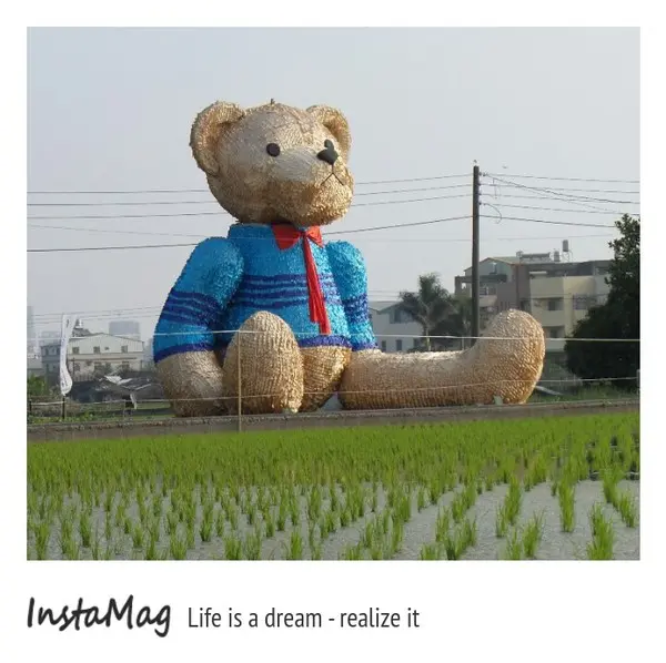 台中地景藝術節~迷失的小熊        
      