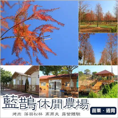 通霄｜藍鵲休閒農場．玩高爾夫賞落羽松森林末班車