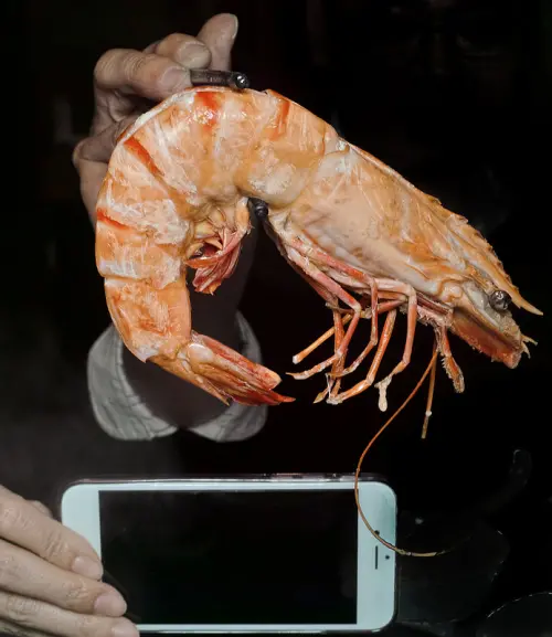 捷運美食 淡水老街旁湯鮮味美的九濤石頭火鍋