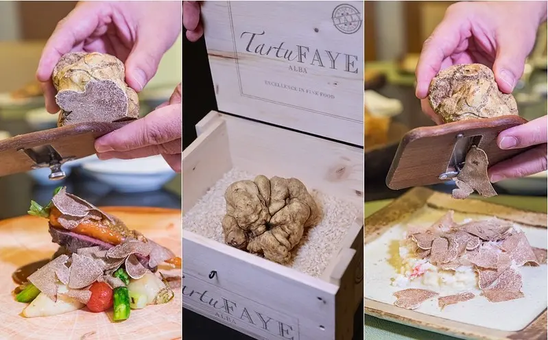 【台北捷運美食】【新北投站美食】連續三年米其林推薦「32行館」2020白松露季菜單.當白松露遇見台灣美好的食材