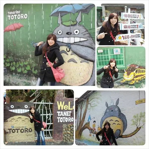 ★台南景點★~♞大內龍貓彩繪村♞        
      