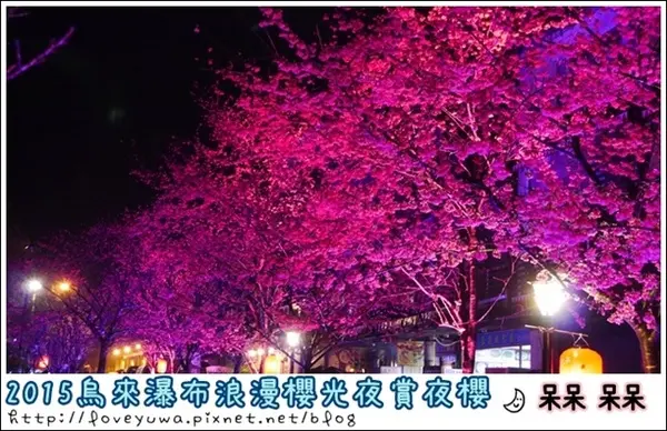 【新北◍•ᴗ•◍烏來】烏來勇士廣場✯夜櫻景點・2015烏來瀑布浪漫櫻光夜賞夜櫻｜烏來櫻花季-新北市烏來首次夜櫻活動              