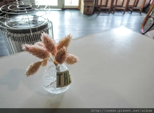 [吃喝]寵物友善空間～HaoHaoKaffe 好好咖啡（羅東店）。