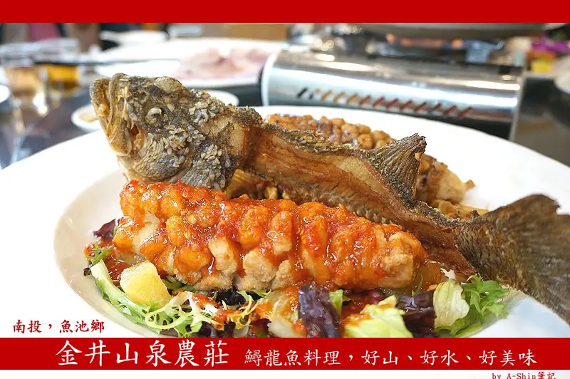 隱藏南投魚池鄉，金井山泉農莊餐點道道令人驚豔！