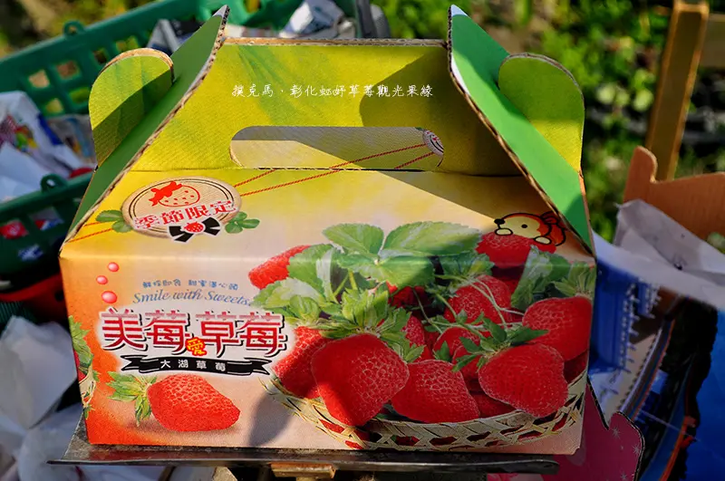 水蜜桃草莓彰化也有！？彰化虹妤草莓觀光果緣