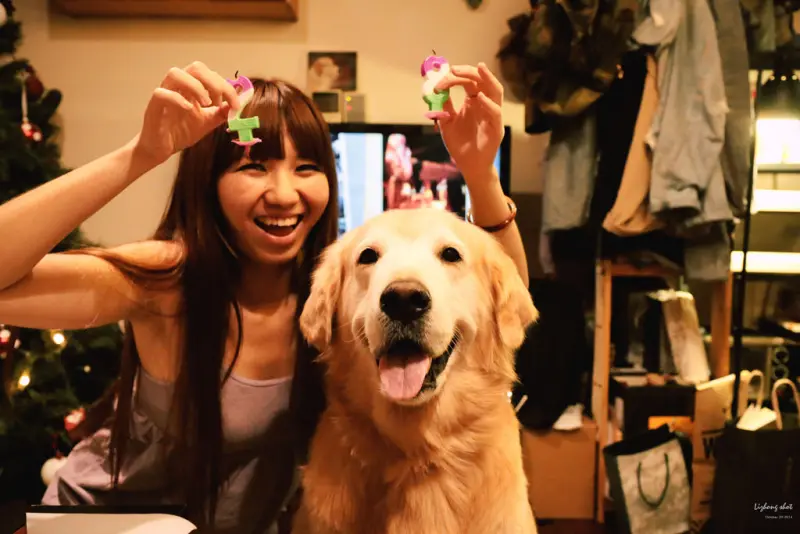 狗狗的居家日常