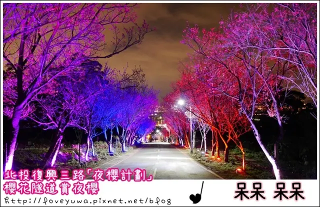 【台北◍•ᴗ•◍北投】捷運北投站✯新北投夜櫻景點・賞櫻秘境・