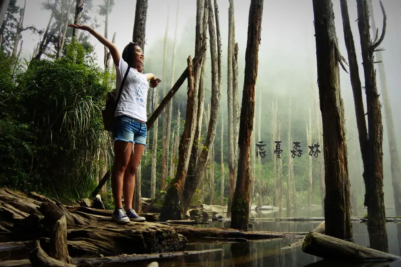 【南投縣。鹿谷鄉】迷幻深幽，人間仙境！此生必訪的夢幻景點@忘憂森林