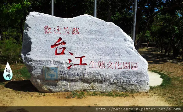 【台南安平─旅遊】綠意盎然絕美祕境－台江生態文化園區綠色隧道