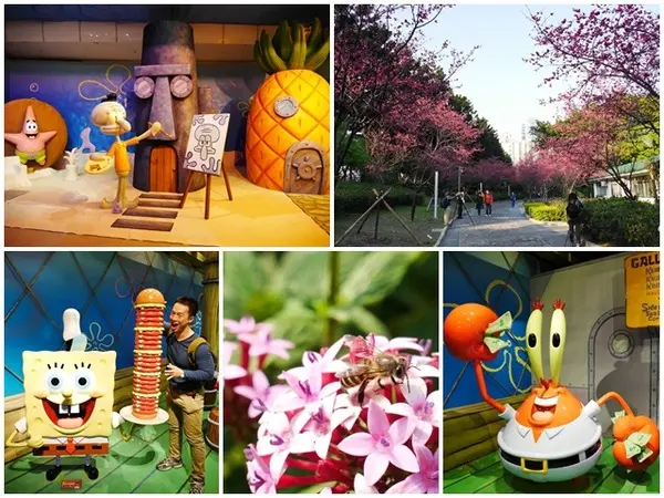 中正紀念堂 海綿寶寶:暢遊比奇堡特展～一日親子遊        
      