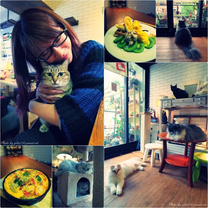 【甦活零工坊】大安區。貓奴失控！寵物咖啡簡餐．快來喵星人樂園寵愛毛孩子❤
