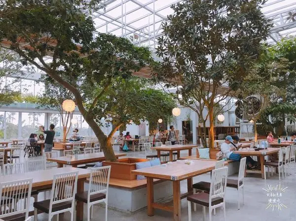 【宜蘭．慈】美美的芳香植物博物館▷香草菲菲