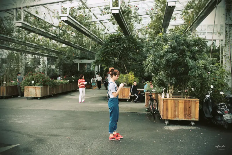 宜蘭香草菲菲的植物園藝課