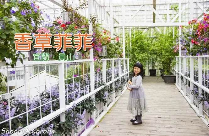 【宜蘭景點】員山景點／香草菲菲芳香植物博物館～超美拍天空步道花園秘徑，充滿植物馨香的宜蘭白宮