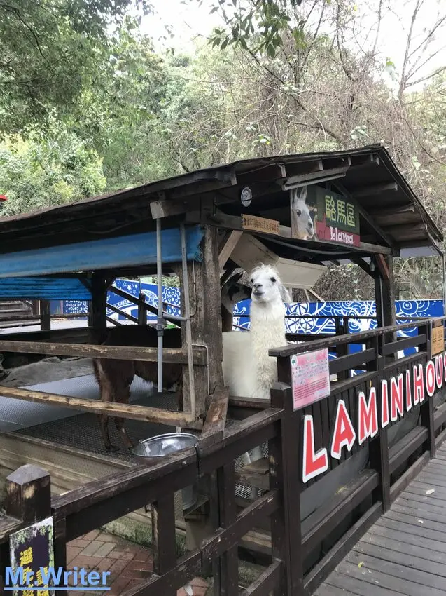 今夜星辰休閒農場:童話故事是真的! 草尼馬親子同遊景點