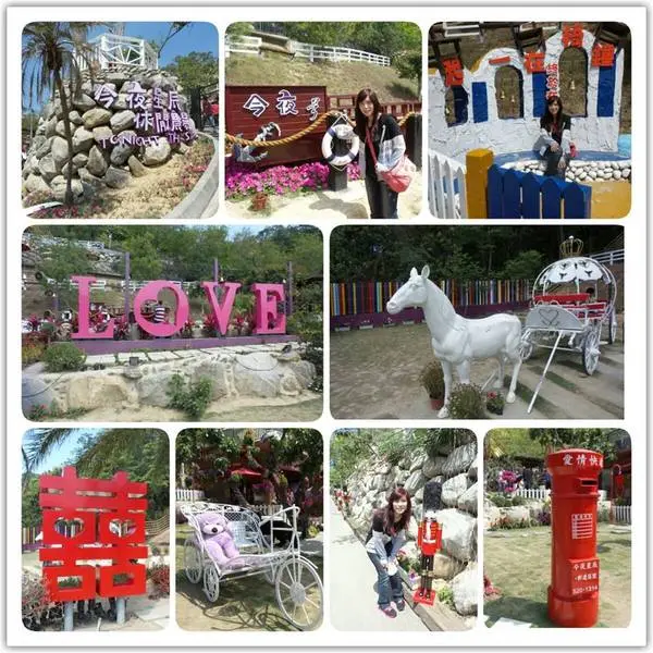 【彰化景點】大大放閃的新景點~今夜星辰休閒農場        
      