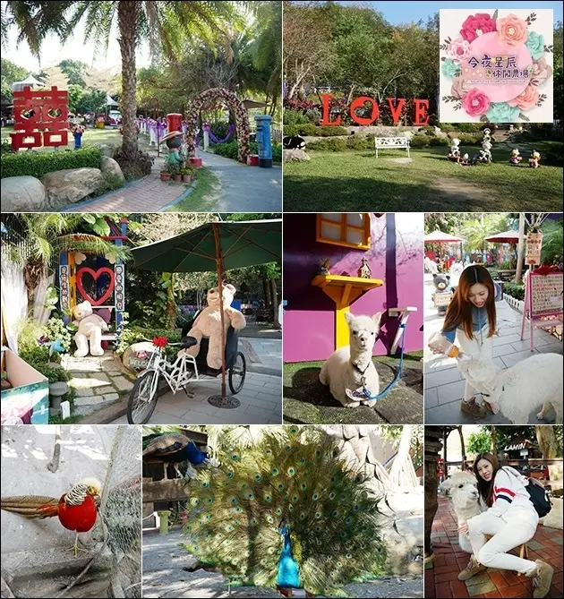 【彰化景點】今夜星辰休閒農場(寵物友善景點)，每個角落都散發著浪漫甜蜜氛圍充滿愛情元素的造景、可以跟農場裡人氣最高的動物明星"草泥馬"零距離互動。彰化親子旅遊景點