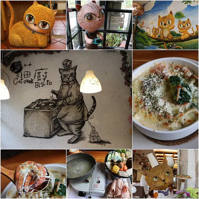 高雄 大社。貓廚，近義大百貨、觀音山半山腰上 x 吃到飽概念 青菜冬粉任你夾