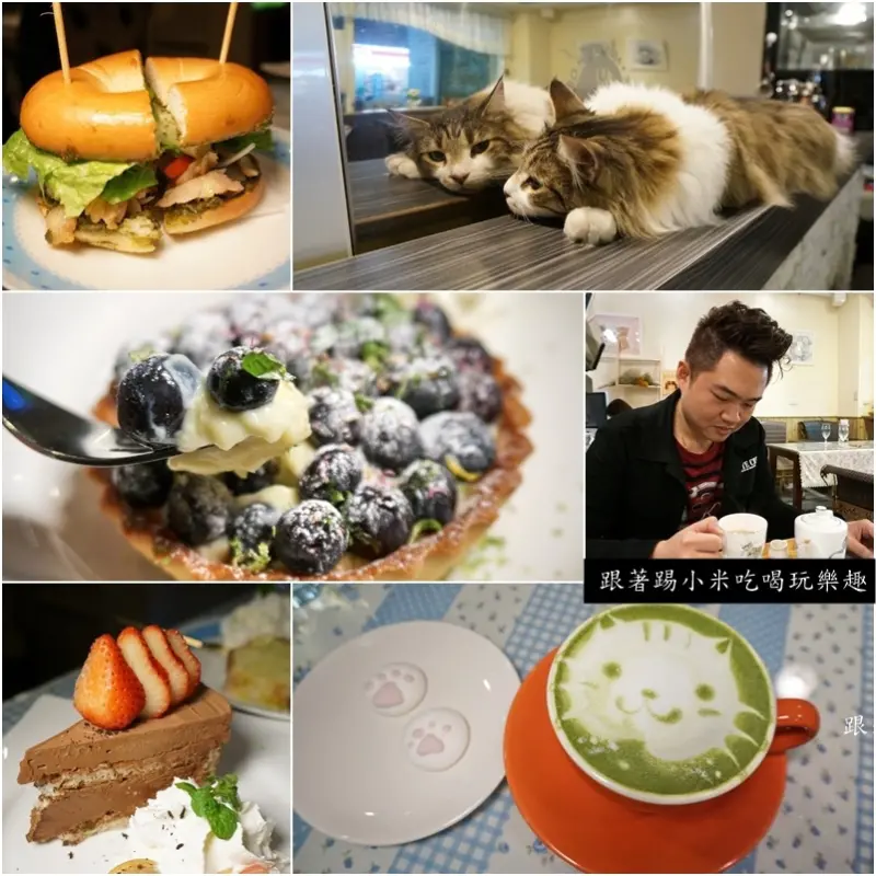 新竹下午茶美食|晴空貓窩-堅持手作甜點輕食的貓窩店家(絡絡/絡炎王子/貓咪/咖啡輕食)--踢小米食記