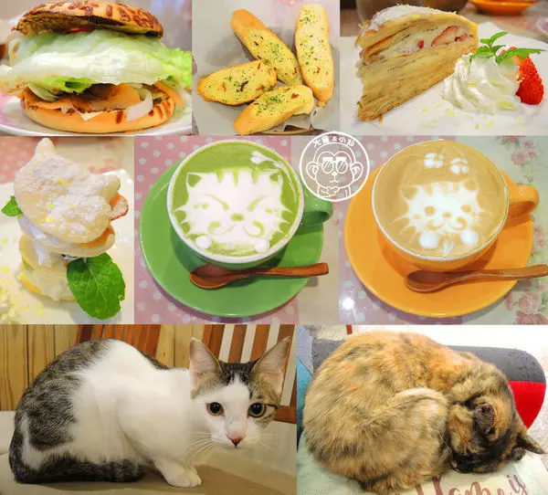 呷飽祙【新竹･晴空貓窩】又一喵星人陪伴用餐咖啡廳        
      