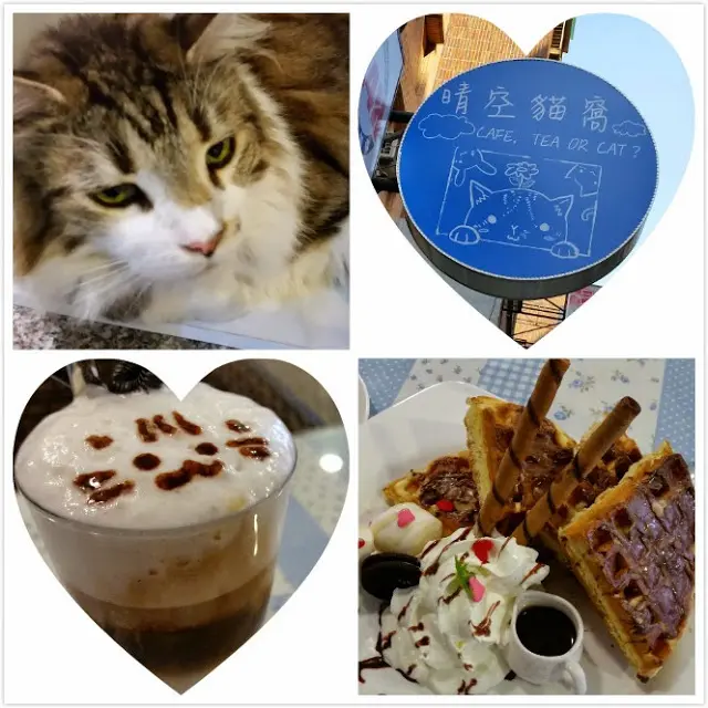 【新竹】晴空貓窩．希望永遠放晴的咖啡館