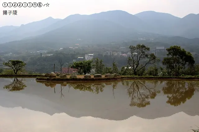 再訪北8鄉道圭柔山路水中央&2017淡水楓樹湖木蓮花季&青山路櫻花開～