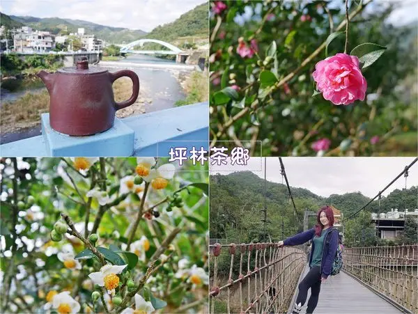 新北坪林茶鄉一日遊好山好水輕碳小旅行～坪林老街、石頭屋古厝、觀魚步道、生態園區
