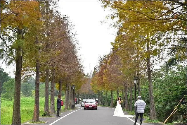 《桃園熱門景點》街友創業路行者咖啡&水哥特賣會大甩賣&桃園季節限定落羽松景點三連彈！