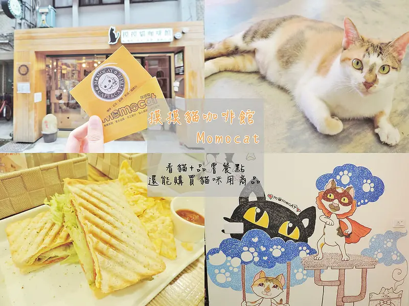 食記。新北★摸摸貓咖啡館 看貓+品嚐餐點 還能購買貓咪用商品