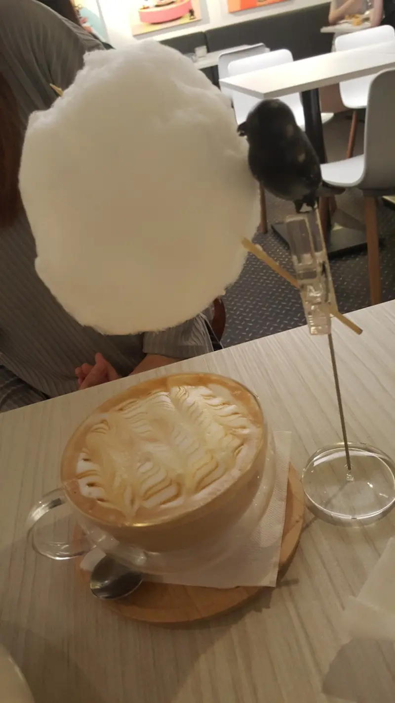 青菜呷呷。食尚小咪 ♥【台北東區。黑鳥先生mr. black bird/推薦好吃下午茶棉花糖咖啡廳好好吃的麻吉鬆餅+超CUTE的棉花糖咖啡】