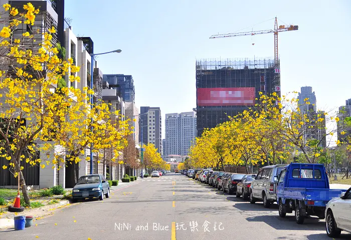 【台中】黃金風鈴木賞花地圖-淡紫色苦楝樹也開花了!!近74快速道路。逢甲商圈。環保公園。青海路底