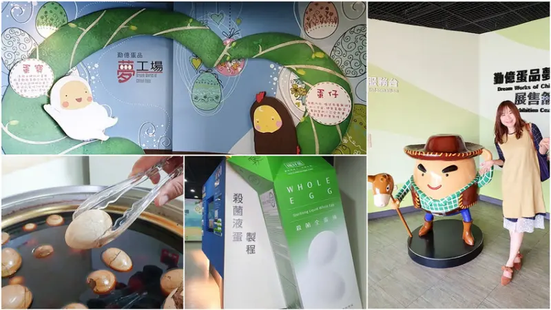 【嘉義觀光工廠】勤億蛋品夢工場 噴香金礦蛋糕/肉鬆蛋捲/滴雞精 免費參觀 摸金蛋旺財運 嘉義伴手禮推薦