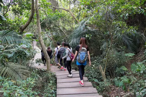 【遊記】｛高雄。鼓山區｝與猴子一起在柴山步道大健走        
      