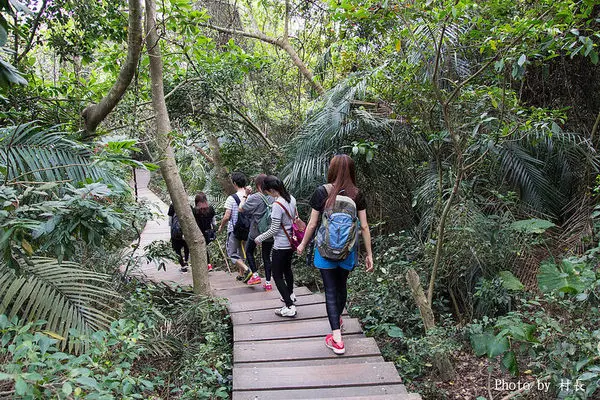 【遊記】｛高雄。鼓山區｝與猴子一起在柴山步道大健走        
      