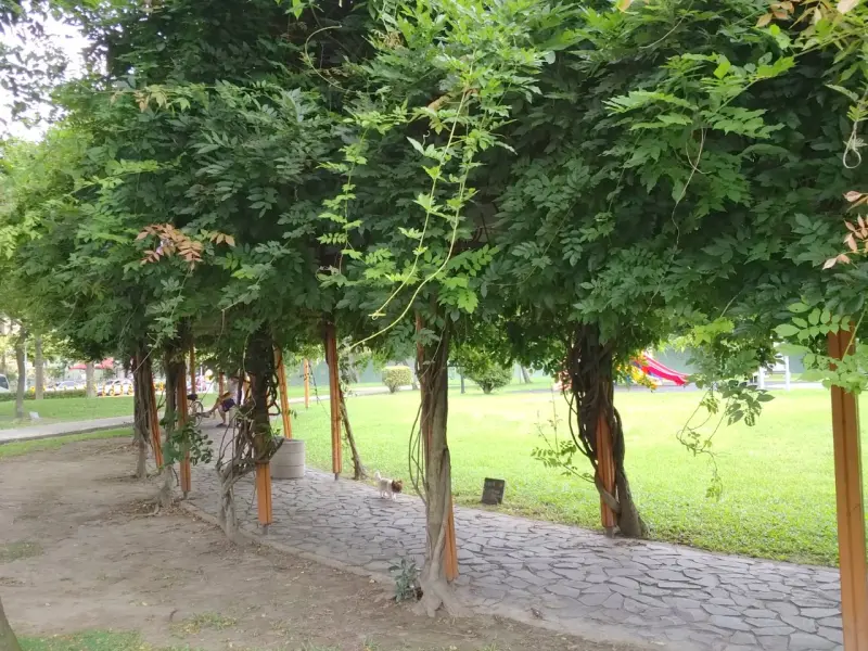 全國疫情升[三級警戒]範圍擴大.人人自保，連公園、廟宇都淨空啦!!