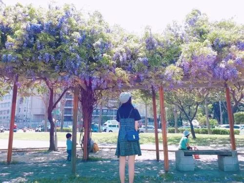 【元生公園/龍德公園夢幻紫藤花約會聖地】2018中壢最夯打卡美食一日遊/好滋味豪華超大碗蛤蠣海鮮麵/AJpeace Café粉紅球池下午茶