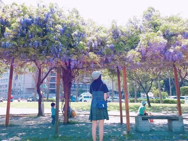 【元生公園/龍德公園夢幻紫藤花約會聖地】2018中壢最夯打卡美食一日遊/好滋味豪華超大碗蛤蠣海鮮麵/AJpeace Café粉紅球池下午茶