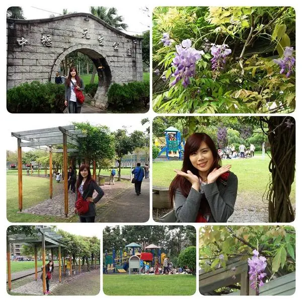 【桃園景點】中壢元生公園紫藤花(花況4月16)