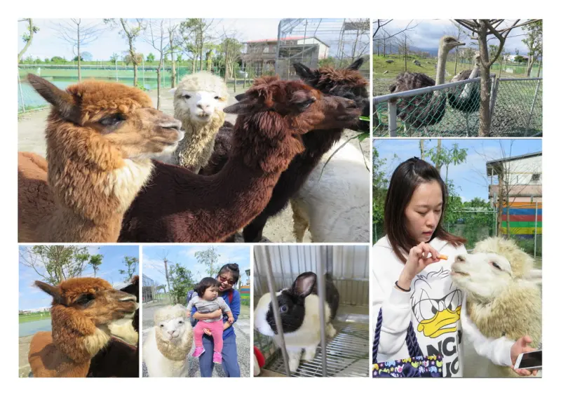 葛瑪蘭馬術俱樂部